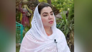 صحت کارڈ کے خاتمے سے متعلق نگار جوہر خان سے منسوب بیان جھوٹا، نوشیروان برکی کی برطرفی کا نوٹیفکیشن بھی جعلی ہے، ثمر ہارون بلور
